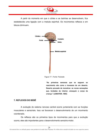 A partir do momento em que o córtex e as bainhas se desenvolvem, fica
       estabelecida uma ligação com a medula espinhal. Os movimentos reflexos e em
       blocos diminuem.




                                                                Figura 17 - Fonte: Fisioweb


                                                                   “As      primeiras        semanas          que      se     seguem         ao
                                                                   nascimento são como a travessia de um deserto.
                                                                   Deserto povoado de monstros: as novas sensações
                                                                   que, brotadas do interior, ameaçam o corpo da
                                                                   criança.” (LEBOYER, 1995)


       7. REFLEXOS DO BEBÊ


                    A evolução do sistema nervoso central ocorre juntamente com as funções
       musculares e sensoriais. Isso vai favorecer o desenvolvimento de um movimento
       coordenado.
                    Os reflexos são os primeiros tipos de movimentos para que a evolução
       ocorra, eles são importantes para o desenvolvimento sensório-motor.


                                                                       28
Este material deve ser utilizado apenas como parâmetro de estudo deste Programa. Os créditos deste conteúdo são dados aos seus respectivos autores
 