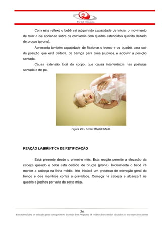 Com este reflexo o bebê vai adquirindo capacidade de iniciar o movimento
       de rolar e de apoiar-se sobre os cotovelos com quadris estendidos quando deitado
       de bruços (prono).
                    Apresenta também capacidade de flexionar o tronco e os quadris para sair
       da posição que está deitada, de barriga para cima (supino), e adquirir a posição
       sentada.
                    Causa extensão total do corpo, que causa interferência nas posturas
       sentada e de pé.




                                                             Figura 29 - Fonte: IMAGEBANK




       REAÇÃO LABIRÍNTICA DE RETIFICAÇÃO


                    Está presente desde o primeiro mês. Esta reação permite a elevação da
       cabeça quando o bebê está deitado de bruços (prona). Inicialmente o bebê irá
       manter a cabeça na linha média. Isto iniciará um processo de elevação geral do
       tronco e dos membros contra a gravidade. Começa na cabeça e alcançará os
       quadris e joelhos por volta do sexto mês.




                                                                       36
Este material deve ser utilizado apenas como parâmetro de estudo deste Programa. Os créditos deste conteúdo são dados aos seus respectivos autores
 