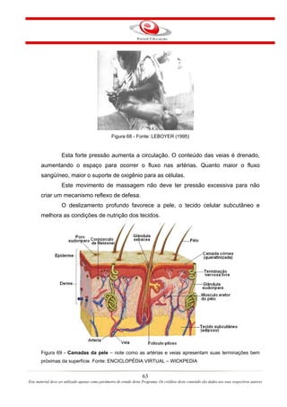 Figura 68 - Fonte: LEBOYER (1995)


                    Esta forte pressão aumenta a circulação. O conteúdo das veias é drenado,
       aumentando o espaço para ocorrer o fluxo nas artérias. Quanto maior o fluxo
       sangüíneo, maior o suporte de oxigênio para as células.
                    Este movimento de massagem não deve ter pressão excessiva para não
       criar um mecanismo reflexo de defesa.
                    O deslizamento profundo favorece a pele, o tecido celular subcutâneo e
       melhora as condições de nutrição dos tecidos.




       Figura 69 - Camadas da pele – note como as artérias e veias apresentam suas terminações bem
       próximas da superfície. Fonte: ENCICLOPÉDIA VIRTUAL – WICKPEDIA


                                                                       63
Este material deve ser utilizado apenas como parâmetro de estudo deste Programa. Os créditos deste conteúdo são dados aos seus respectivos autores
 