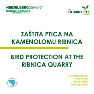 ZAŠTITA PTICA NA 
KAMENOLOMU RIBNICA 
BIRD PROTECTION AT THE 
RIBNICA QUARRY 
Nermina Sarajlić 
Asja Ĉorbo 
Selvir Džafić 
Tarik Dervović 
 