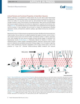 Recalibrating The Relevance Of Adult Neurogenesis Jason S Snyder | PDF