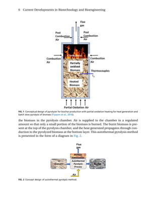 Current Developments In Biotechnology And Bioengineering Biochar ...