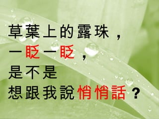 Ҷϵ¶ 
һգһգ
ǲ
fĻ
 