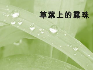 Ҷϵ¶
 