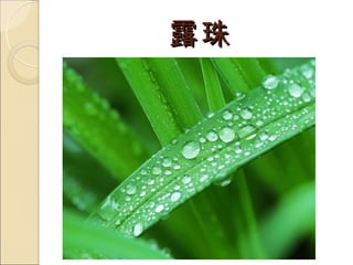 ¶
 