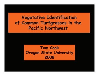 Vegetative Identification
of Common Turfgrasses in the
      Pacific Northwest



          Tom Cook
    Oregon State University
            2008
 
