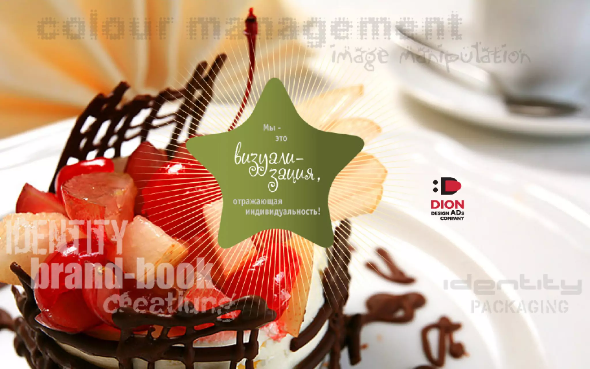 DION-PRESENTATION-2016