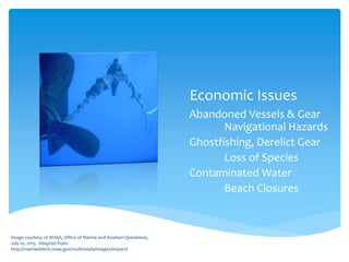 Economic Issues
Abandoned Vessels & Gear
Navigational Hazards
Ghostfishing, Derelict Gear
Loss of Species
Contaminated Water
Beach Closures
Image courtesy of NOAA, Office of Marine and Aviation Operations,
July 10, 2013. Adapted from:
http://marinedebris.noaa.gov/multimedia/images/impacts
 