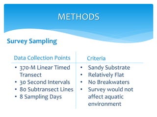 Survey Sampling
METHODS
Data Collection Points Criteria
• 370-M Linear Timed
Transect
• 30 Second Intervals
• 80 Subtransect Lines
• 8 Sampling Days
• Sandy Substrate
• Relatively Flat
• No Breakwaters
• Survey would not
affect aquatic
environment
 