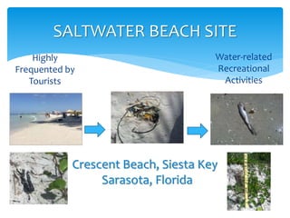 SALTWATER BEACH SITE
Crescent Beach, Siesta Key
Sarasota, Florida
Highly
Frequented by
Tourists
Water-related
Recreational
Activities
 