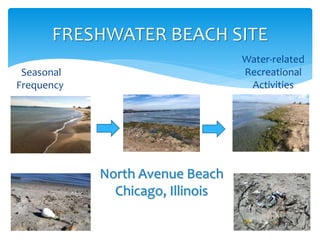 FRESHWATER BEACH SITE
North Avenue Beach
Chicago, Illinois
Seasonal
Frequency
Water-related
Recreational
Activities
 