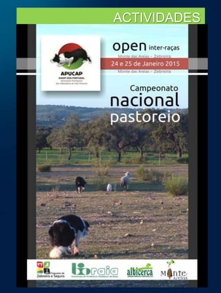 ÔHotels & ResortsMonfortinho
Termasde Monfortinho
6060-072 Monfortinho
Portugal
Tel: +351 277 430 435
Fax: +351 277 430 409
reservasmonfortinho@Ohotelsandresorts.com
ACTIVIDADES
 