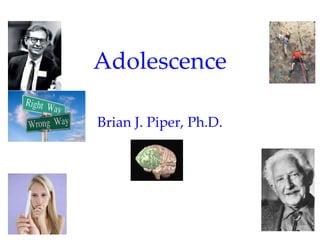 Adolescence

Brian J. Piper, Ph.D.
 