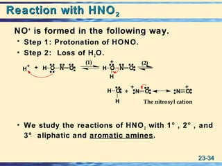 23-23-3434
Reaction with HNOReaction with HNO22
NO+
is formed in the following way.
• Step 1: Protonation of HONO.
• Step 2: Loss of H2O.
• We study the reactions of HNO2 with 1° , 2° , and
3° aliphatic and aromatic amines.
H
H
N O
+
OH
H
+ OH N ONO OH
N O
+
+
+
+
The nitrosyl cation
(1) (2)
 