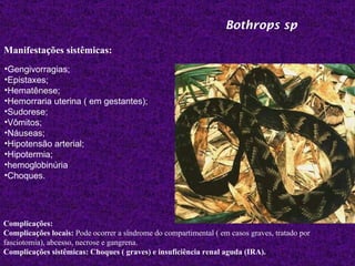 Bothrops sp

Manifestações sistêmicas:
•Gengivorragias;
•Epistaxes;
•Hematênese;
•Hemorraria uterina ( em gestantes);
•Sudorese;
•Vômitos;
•Náuseas;
•Hipotensão arterial;
•Hipotermia;
•hemoglobinúria
•Choques.




Complicações:
Complicações locais: Pode ocorrer a síndrome do compartimental ( em casos graves, tratado por
fasciotomia), abcesso, necrose e gangrena.
Complicações sistêmicas: Choques ( graves) e insuficiência renal aguda (IRA).
 