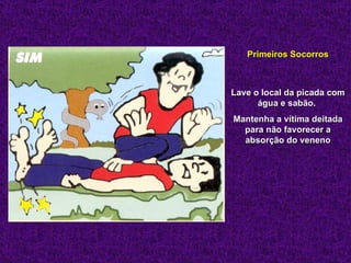 Primeiros Socorros



Lave o local da picada com
      água e sabão.
Mantenha a vítima deitada
  para não favorecer a
  absorção do veneno
 