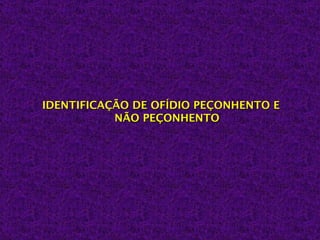IDENTIFICAÇÃO DE OFÍDIO PEÇONHENTO E
           NÃO PEÇONHENTO
 