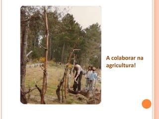 A colaborar na
agricultura!
 