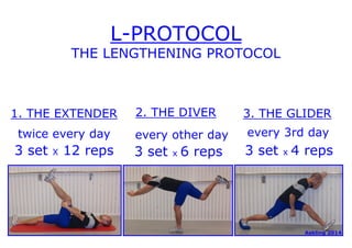 L-PROTOCOL 
THE LENGTHENING PROTOCOL 
1. THE EXTENDER 2. THE DIVER 3. THE GLIDER 
twice every day every other day every 3rd day 
3 set X 12 reps 3 set x 6 reps 3 set x 4 reps 
AsklinAgs ektl ianlg. 22001124 
 