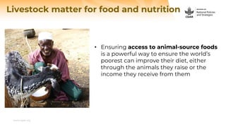 www.cgiar.org
Livestock matter for food and nutrition
• Ensuring access to animal-source foods
is a powerful way to ensure the world’s
poorest can improve their diet, either
through the animals they raise or the
income they receive from them
 