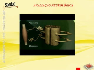 10/06/15 12
AVALIAÇÃO NEUROLÓGICA
 