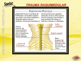 TRAUMA RAQUIMEDULAR
 