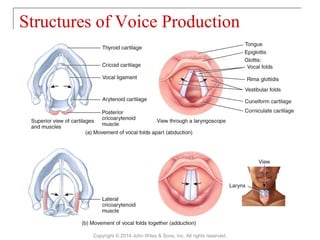 Structures of Voice Production
Copyright © 2014 John Wiley & Sons, Inc. All rights reserved.
 