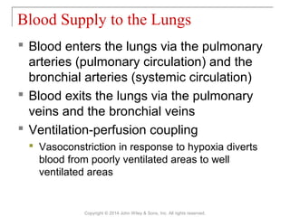  Blood enters the lungs via the pulmonary
arteries (pulmonary circulation) and the
bronchial arteries (systemic circulation)
 Blood exits the lungs via the pulmonary
veins and the bronchial veins
 Ventilation-perfusion coupling
 Vasoconstriction in response to hypoxia diverts
blood from poorly ventilated areas to well
ventilated areas
Blood Supply to the Lungs
Copyright © 2014 John Wiley & Sons, Inc. All rights reserved.
 