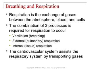  Respiration is the exchange of gases
between the atmosphere, blood, and cells
 The combination of 3 processes is
required for respiration to occur
 Ventilation (breathing)
 External (pulmonary) respiration
 Internal (tissue) respiration
 The cardiovascular system assists the
respiratory system by transporting gases
Breathing and Respiration
Copyright © 2014 John Wiley & Sons, Inc. All rights reserved.
 