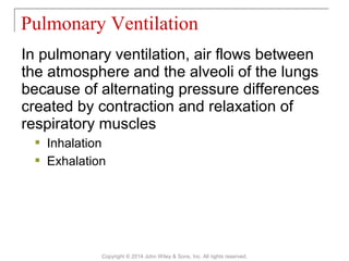 In pulmonary ventilation, air flows between
the atmosphere and the alveoli of the lungs
because of alternating pressure differences
created by contraction and relaxation of
respiratory muscles
 Inhalation
 Exhalation
Pulmonary Ventilation
Copyright © 2014 John Wiley & Sons, Inc. All rights reserved.
 