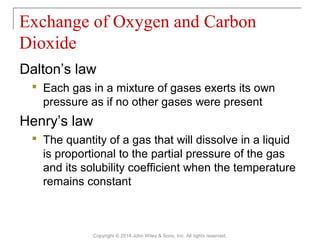 Dalton’s law
 Each gas in a mixture of gases exerts its own
pressure as if no other gases were present
Henry’s law
 The quantity of a gas that will dissolve in a liquid
is proportional to the partial pressure of the gas
and its solubility coefficient when the temperature
remains constant
Exchange of Oxygen and Carbon
Dioxide
Copyright © 2014 John Wiley & Sons, Inc. All rights reserved.
 