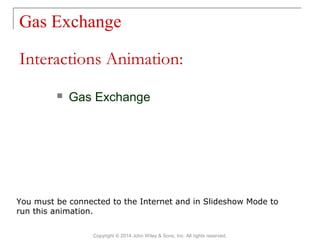 Gas Exchange
Copyright © 2014 John Wiley & Sons, Inc. All rights reserved.
 Gas Exchange
Interactions Animation:
You must be connected to the Internet and in Slideshow Mode to
run this animation.
 