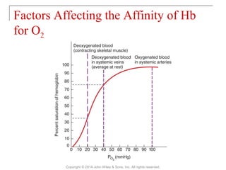 Factors Affecting the Affinity of Hb
for O2
Copyright © 2014 John Wiley & Sons, Inc. All rights reserved.
 