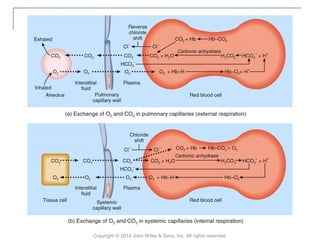 Copyright © 2014 John Wiley & Sons, Inc. All rights reserved.
 