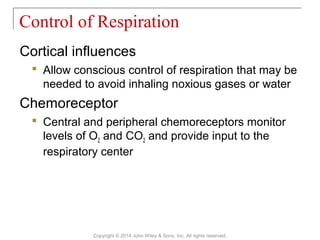 Cortical influences
 Allow conscious control of respiration that may be
needed to avoid inhaling noxious gases or water
Chemoreceptor
 Central and peripheral chemoreceptors monitor
levels of O2 and CO2 and provide input to the
respiratory center
Control of Respiration
Copyright © 2014 John Wiley & Sons, Inc. All rights reserved.
 