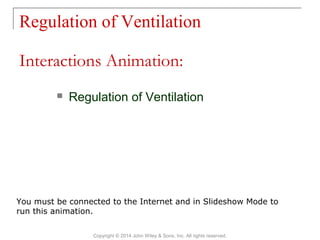 Regulation of Ventilation
Copyright © 2014 John Wiley & Sons, Inc. All rights reserved.
 Regulation of Ventilation
Interactions Animation:
You must be connected to the Internet and in Slideshow Mode to
run this animation.
 