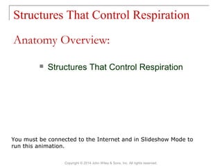 Structures That Control Respiration
Copyright © 2014 John Wiley & Sons, Inc. All rights reserved.
 Structures That Control Respiration
Anatomy Overview:
You must be connected to the Internet and in Slideshow Mode to
run this animation.
 