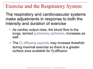 The respiratory and cardiovascular systems
make adjustments in response to both the
intensity and duration of exercise
 As cardiac output rises, the blood flow to the
lungs, termed pulmonary perfusion, increases as
well
 The O2 diffusing capacity may increase threefold
during maximal exercise so there is a greater
surface area available for O2 diffusion
Exercise and the Respiratory System
Copyright © 2014 John Wiley & Sons, Inc. All rights reserved.
 