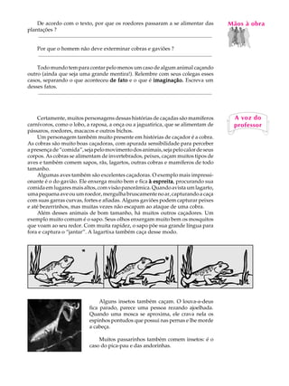De acordo com o texto, por que os roedores passaram a se alimentar das                                                                 MãosL àAobra
                                                                                                                                           A U
plantações ?
    ..................................................................................................................................
                                                                                                                                           23
      Por que o homem não deve exterminar cobras e gaviões ?
      ..................................................................................................................................

    Todo mundo tem para contar pelo menos um caso de algum animal caçando
outro (ainda que seja uma grande mentira!). Relembre com seus colegas esses
casos, separando o que aconteceu de fato e o que é imaginação. Escreva um
desses fatos.
    ..................................................................................................................................



    Certamente, muitos personagens dessas histórias de caçadas são mamíferos                                                                 A voz do
carnívoros, como o lobo, a raposa, a onça ou a jaguatirica, que se alimentam de                                                              professor
pássaros, roedores, macacos e outros bichos.
    Um personagem também muito presente em histórias de caçador é a cobra.
As cobras são muito boas caçadoras, com apurada sensibilidade para perceber
a presença de “comida”, seja pelo movimento dos animais, seja pelo calor de seus
corpos. As cobras se alimentam de invertebrados, peixes, caçam muitos tipos de
aves e também comem sapos, rãs, lagartos, outras cobras e mamíferos de todo
tamanho.
    Algumas aves também são excelentes caçadoras. O exemplo mais impressi-
onante é o do gavião. Ele enxerga muito bem e fica à espreita procurando sua
                                                      espreita,
comida em lugares mais altos, com visão panorâmica. Quando avista um lagarto,
uma pequena ave ou um roedor, mergulha bruscamente no ar, capturando a caça
com suas garras curvas, fortes e afiadas. Alguns gaviões podem capturar peixes
e até bezerrinhos, mas muitas vezes não escapam ao ataque de uma cobra.
    Além desses animais de bom tamanho, há muitos outros caçadores. Um
exemplo muito comum é o sapo. Seus olhos enxergam muito bem os mosquitos
que voam ao seu redor. Com muita rapidez, o sapo põe sua grande língua para
fora e captura o “jantar”. A lagartixa também caça desse modo.




                                                 Alguns insetos também caçam. O louva-a-deus
                                            fica parado, parece uma pessoa rezando ajoelhada.
                                            Quando uma mosca se aproxima, ele crava nela os
                                            espinhos pontudos que possui nas pernas e lhe morde
                                            a cabeça.

                                                Muitos passarinhos também comem insetos: é o
                                            caso do pica-pau e das andorinhas.
 