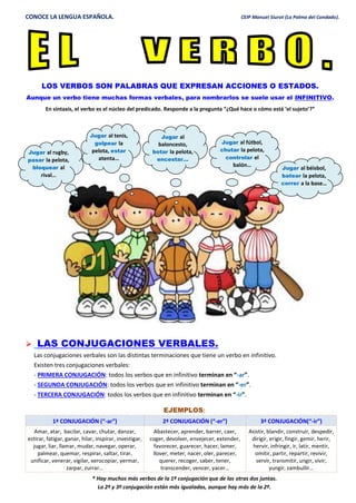 CONOCE LA LENGUA ESPAÑOLA. CEIP Manuel Siurot (La Palma del Condado).
LOS VERBOS SON PALABRAS QUE EXPRESAN ACCIONES O ESTADOS.
Aunque un verbo tiene muchas formas verbales, para nombrarlos se suele usar el INFINITIVO.
En sintaxis, el verbo es el núcleo del predicado. Responde a la pregunta “¿Qué hace o cómo está ‘el sujeto’?”
 LAS CONJUGACIONES VERBALES.
Las conjugaciones verbales son las distintas terminaciones que tiene un verbo en infinitivo.
Existen tres conjugaciones verbales:
- PRIMERA CONJUGACIÓN: todos los verbos que en infinitivo terminan en “-ar”.
- SEGUNDA CONJUGACIÓN: todos los verbos que en infinitivo terminan en “-er”.
- TERCERA CONJUGACIÓN: todos los verbos que en infinitivo terminan en “-ir”.
EJEMPLOS:
1ª CONJUGACIÓN (“-ar”) 2ª CONJUGACIÓN (“-er”) 3ª CONJUGACIÓN(“-ir”)
Amar, atar, bacilar, cavar, chutar, danzar,
estirar, fatigar, ganar, hilar, inspirar, investigar,
jugar, liar, llamar, mudar, navegar, operar,
palmear, quemar, respirar, saltar, tirar,
unificar, venerar, vigilar, xerocopiar, yermar,
zarpar, zurrar…
Abastecer, aprender, barrer, caer,
coger, devolver, envejecer, extender,
favorecer, guarecer, hacer, lamer,
llover, meter, nacer, oler, parecer,
querer, recoger, saber, tener,
transcender, vencer, yacer…
Asistir, blandir, construir, despedir,
dirigir, erigir, fingir, gemir, herir,
hervir, infringir, ir, latir, mentir,
omitir, partir, repartir, revivir,
servir, transmitir, ungir, vivir,
yungir, zambullir…
* Hay muchos más verbos de la 1ª conjugación que de las otras dos juntas.
La 2ª y 3ª conjugación están más igualadas, aunque hay más de la 2ª.
Jugar al béisbol,
batear la pelota,
correr a la base…
Jugar al rugby,
pasar la pelota,
bloquear al
rival…
Jugar al tenis,
golpear la
pelota, estar
atenta…
Jugar al
baloncesto,
botar la pelota,
encestar…
Jugar al fútbol,
chutar la pelota,
controlar el
balón…
 