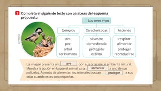 ave
alimentar
proteger
 
