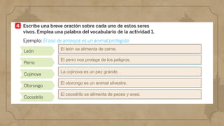 El león se alimenta de carne.
El perro nos protege de los peligros.
La cojinova es un pez grande.
El otorongo es un animal silvestre.
El cocodrilo se alimenta de peces y aves.
 