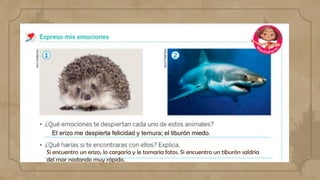 El erizo me despierta felicidad y ternura; el tiburón miedo.
Si encuentro un erizo, lo cargaría y le tomaría fotos. Si encuentro un tiburón saldría
del mar nadando muy rápido.
 
