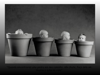 “Quando encontrares uma pedra em seu caminho, não chute, faça dela um
degrau e suba na vida!”
 