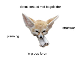 in groep leren planning structuur direct contact met begeleider 