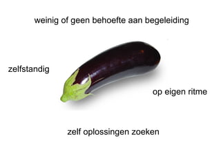 zelfstandig op eigen ritme zelf oplossingen zoeken weinig of geen behoefte aan begeleiding 