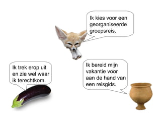 Ik trek erop uit en zie wel waar ik terechtkom. Ik kies voor een georganiseerde groepsreis. Ik bereid mijn vakantie voor  aan de hand van een reisgids. 