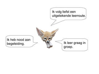 Ik leer graag in groep. Ik heb nood aan begeleiding. Ik volg liefst een uitgetekende leerroute. 
