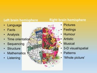 Left brain hemisphere
• Language
• Facts
• Analysis
• Time orientation
• Sequencing
• Structure
• Mathematics
• Listening
Right brain hemisphere
• Pictures
• Feelings
• Humour
• Artistic
• Musical
• 3-D visual/spatial
• Patterns
• ‘Whole picture’
 