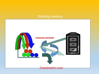 WORKING MEMORY
Working memory
Catastrophic Loss
 